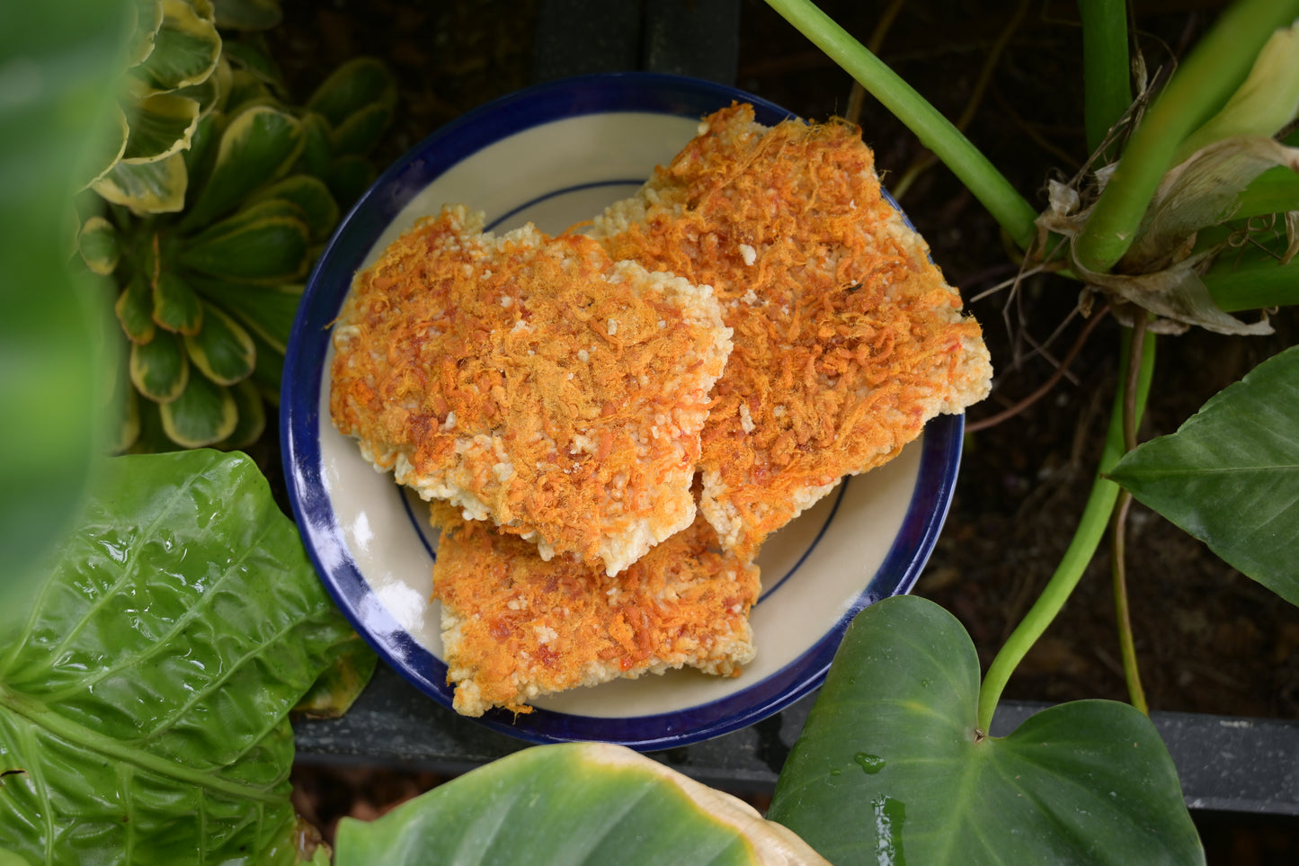 Crispy rice with pork floss