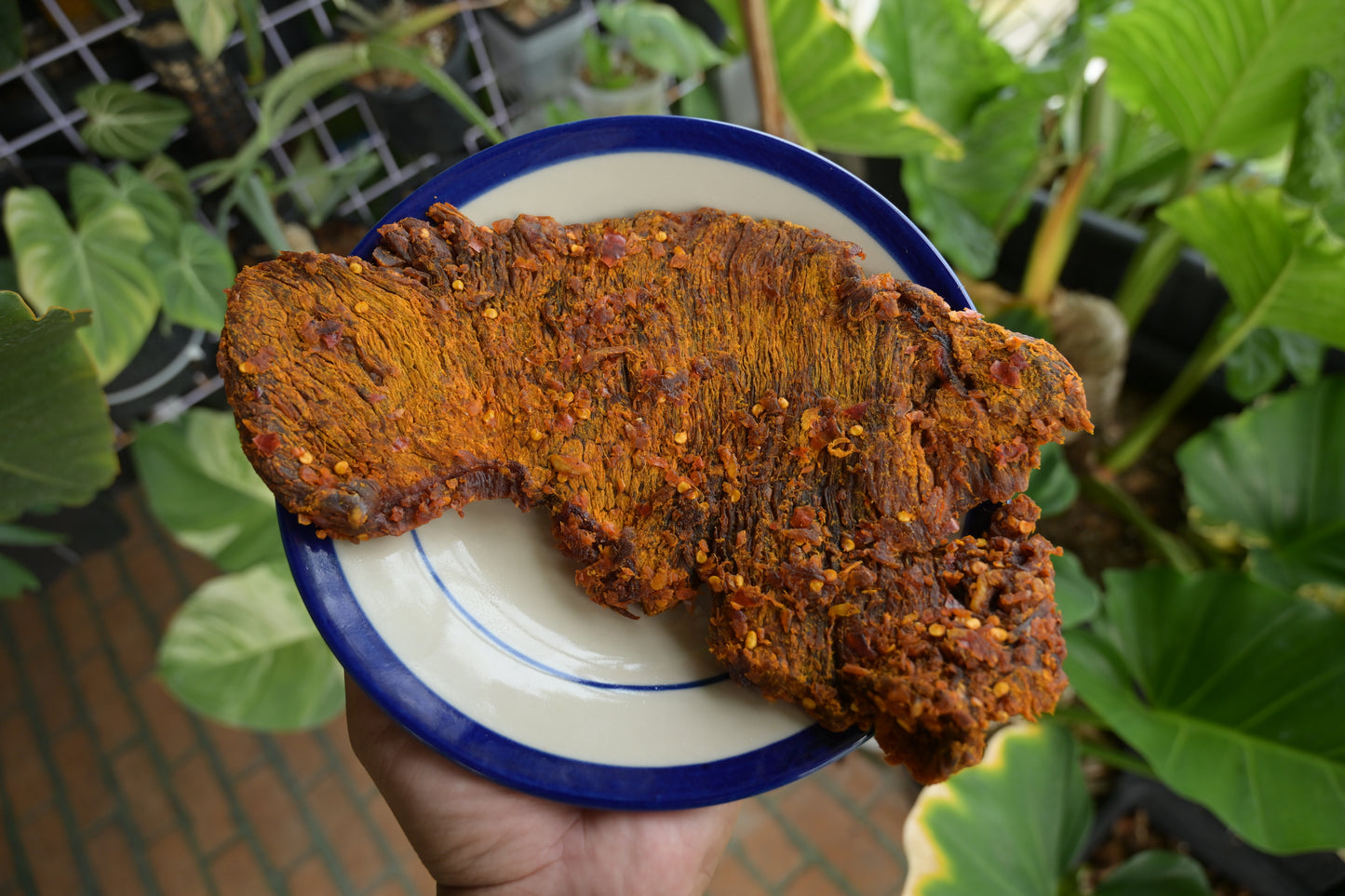 5 spice tender beef jerky
