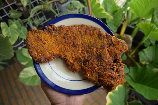 5 spice tender beef jerky